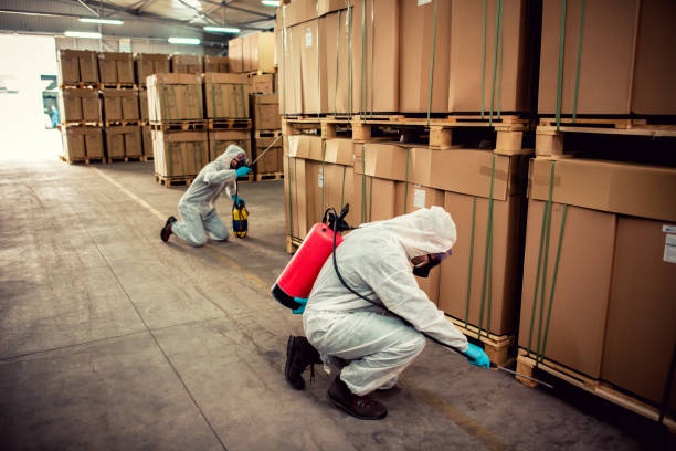 Best Bed Bug Extermination  in Hot Springs, SD