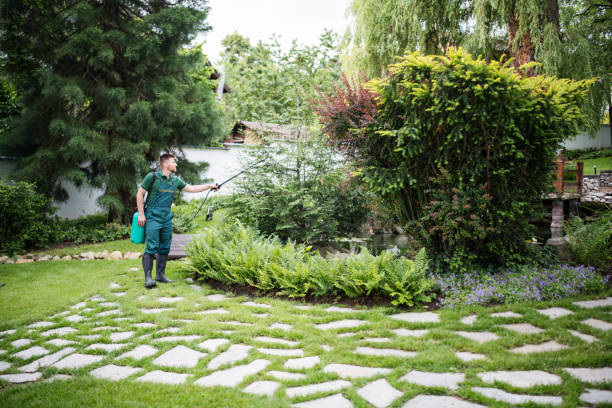 Best Affordable Pest Control Services  in Hot Springs, SD