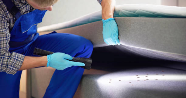 Best Exterminator Services  in Hot Springs, SD