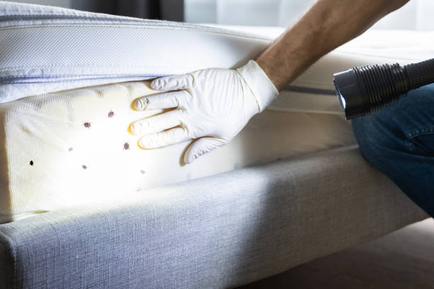 Best Commercial Pest Control Services  in Hot Springs, SD