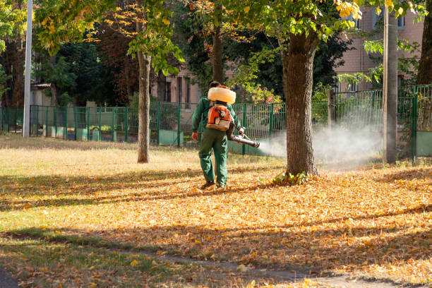 Best Residential Pest Control  in Hot Springs, SD