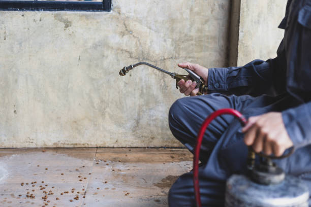 Best Pest Control Near Me  in Hot Springs, SD