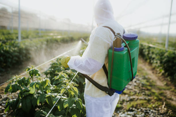 Reliable Hot Springs, SD Pest Control Solutions